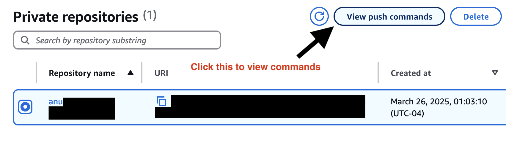 AWS ECR Main screen: Manage Private Repositories